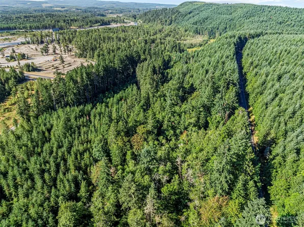 0 NKA Tower Road, Toutle, WA 98649