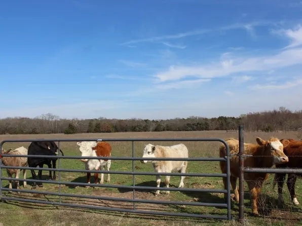 2488 Rs County Rd, Pt, TX 75472