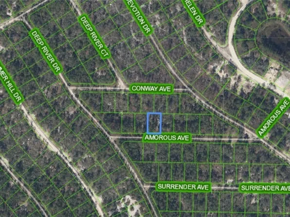 416 Amorous Ave, Lake Placid, FL 33852