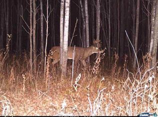 0 Paytas Rd, Mason, WI 54856