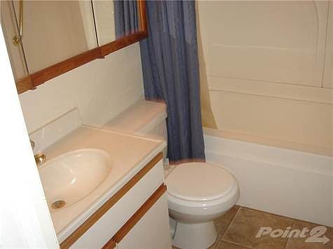 4th image of 2504 Carl St