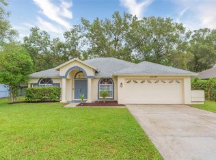 23107 Mayfair Rd, Land O Lakes, FL 34639