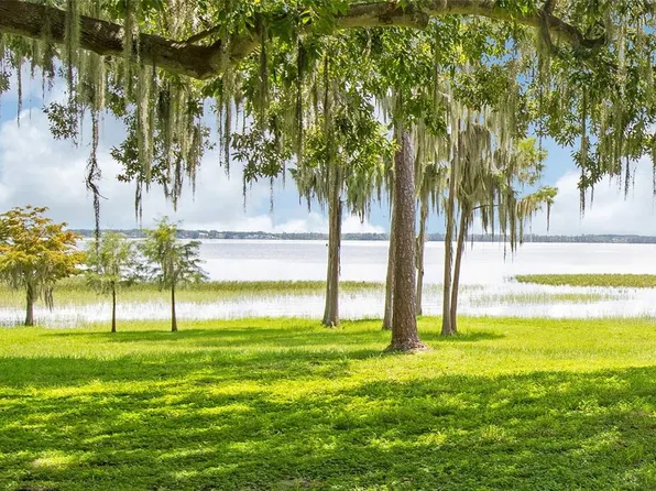 12334 Summerport Ln, Windermere, FL 34786