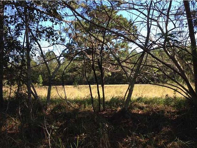 1st image of 5600 Natchez Hwy