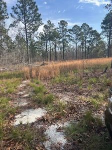 142 Ryan Rd, Windsor, SC, 29856