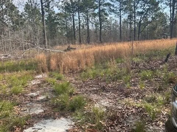142 Ryan Rd, Windsor, SC 29856