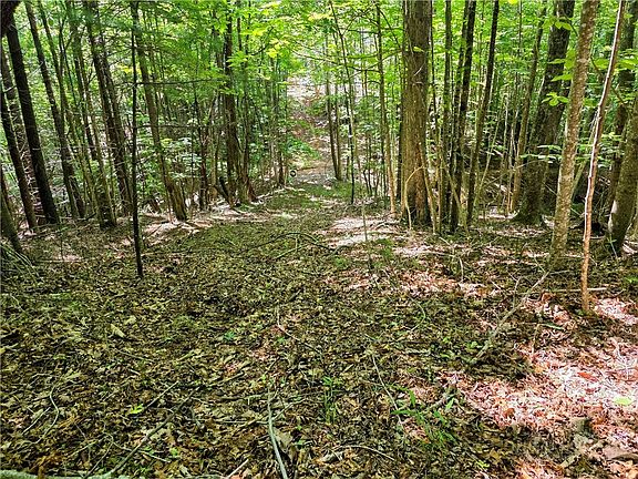 4th image of Lot 2B Brightwood Trail