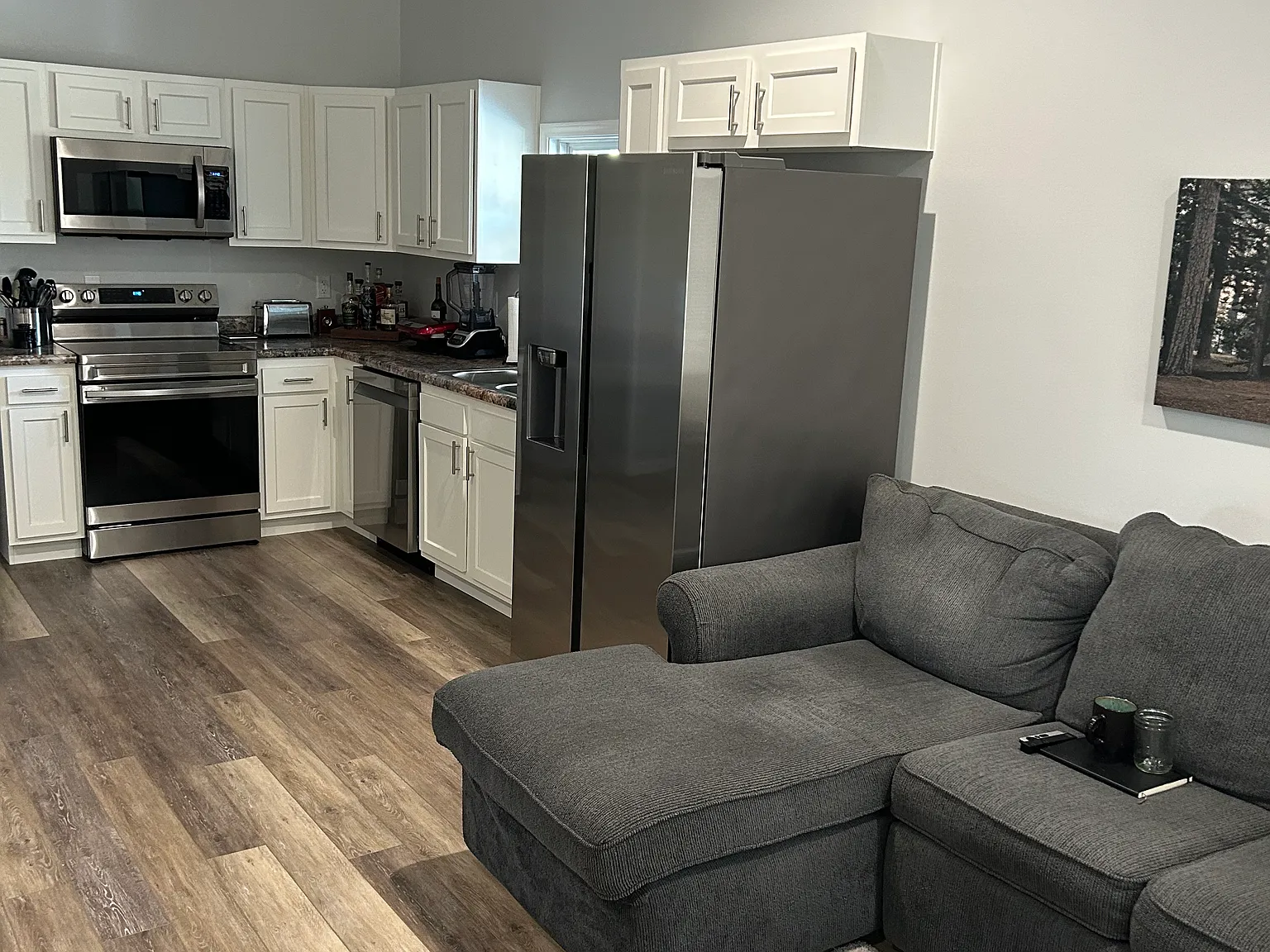 1 bed, 720 sqft, $900 — Photo 4