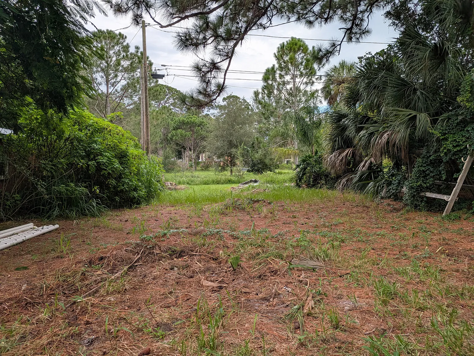 3 bed, 1334 sqft, $3,500 — Photo 2