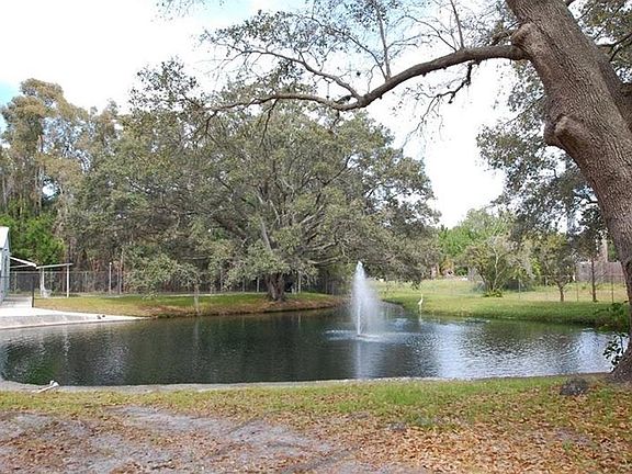 Pond