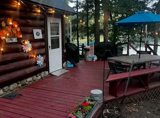 9013 S Three Lakes Ln, Baldwin, MI 49304