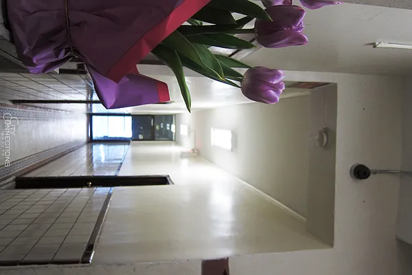 Rented by City Connections Realty | media 17