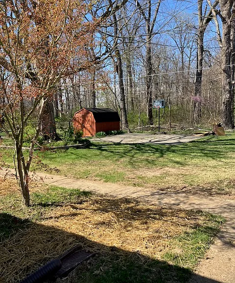 View of backyard