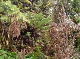 Kilinoe St LOT 28, Volcano, HI 96785