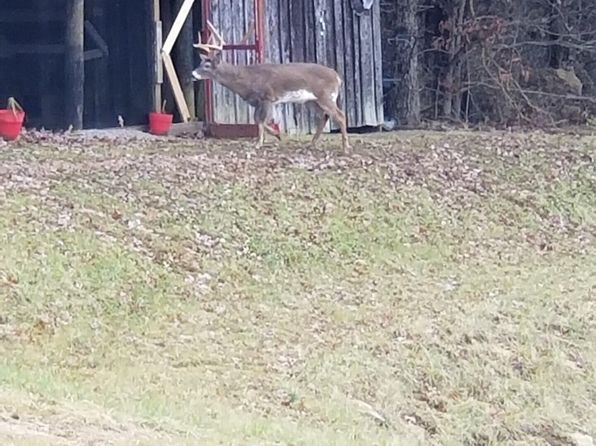 139 Old Pinhook Rd, Mount Olivet, KY 41064