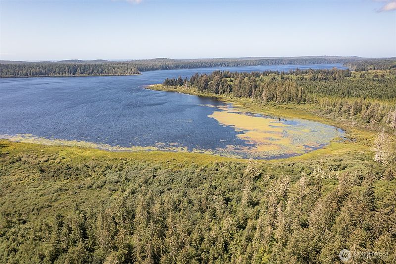 3rd image of 1 Swamp Road