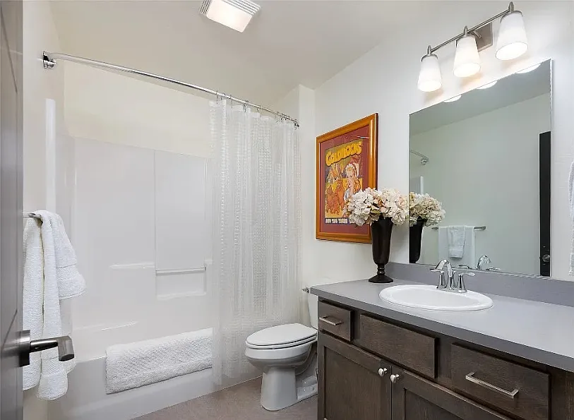 2 bed, 800 sqft, $1,000 — Photo 2