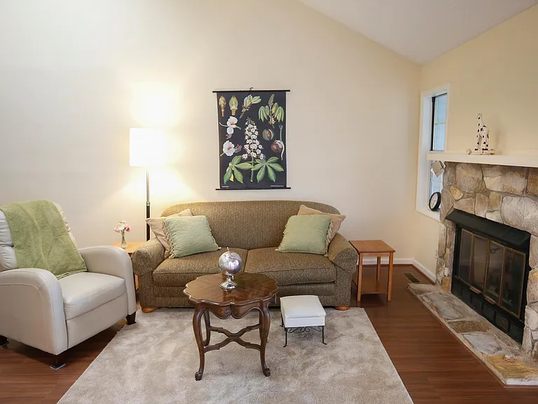 Working gas fireplace