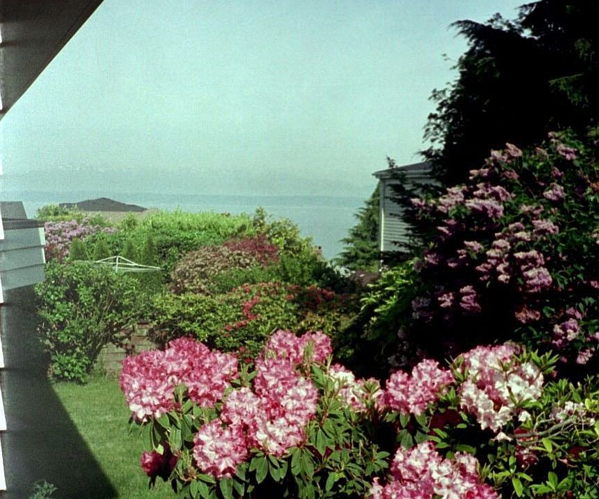 Sound view from deck/dining room