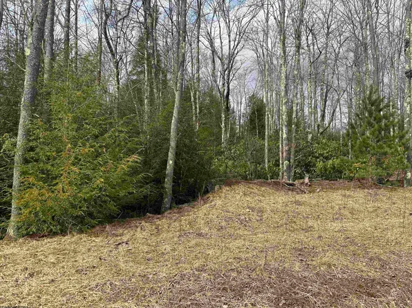 24 Palazzo Pl, Davis, WV 26260