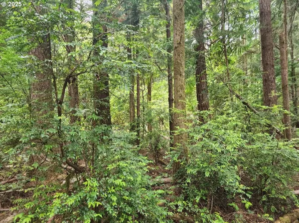 Cedar Hollow Rd #2107, Pt Orford, OR 97465