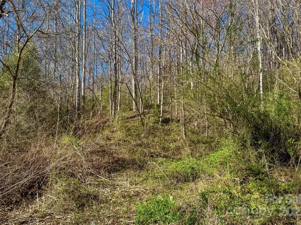 159 Shanty Town Rd, Old Fort, NC 28762