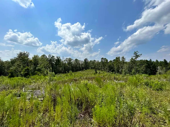Snuff Box Rd, Andalusia, AL 36421