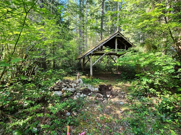 106 Big Creek Road, Ashford, WA 98304