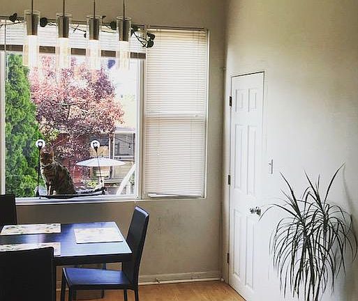 5th image of 2822 W Wellington Ave #1
