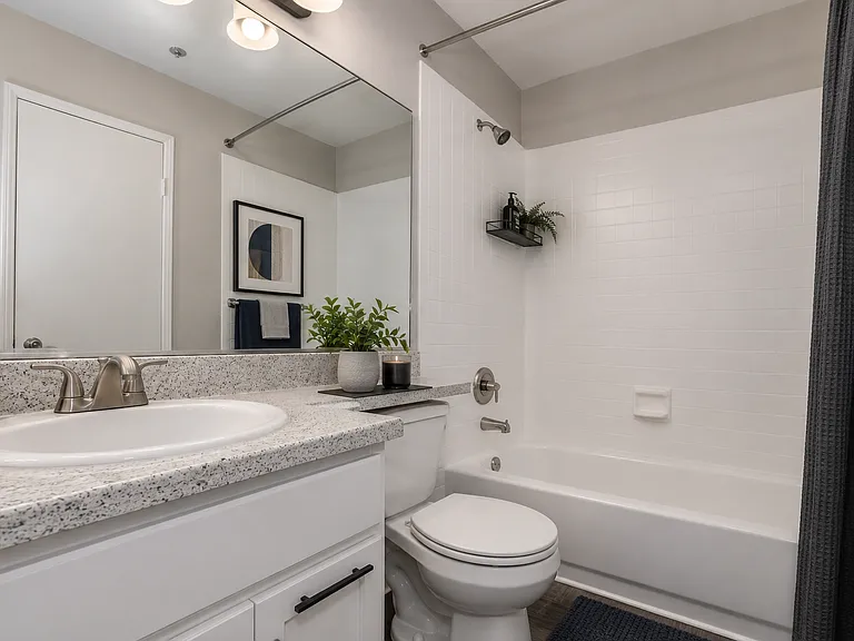 Bathroom- Digitally Furnished