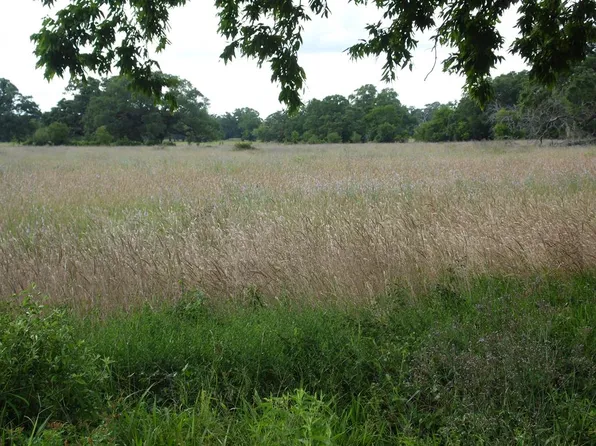 Fm 457 #457, Cedar Lane, TX 77415