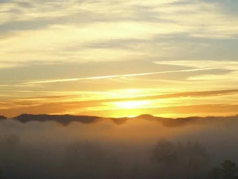 Window View