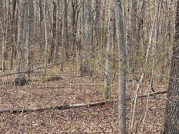 3rd image of 5 Mountain Lake Dr Lot 5