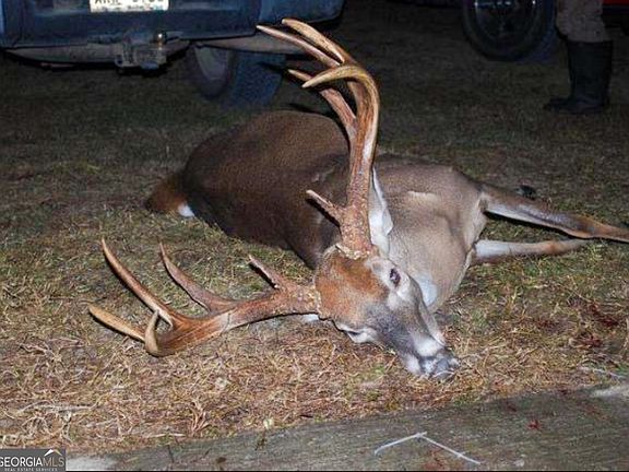 3rd image of 2729 Hadden Pond Rd