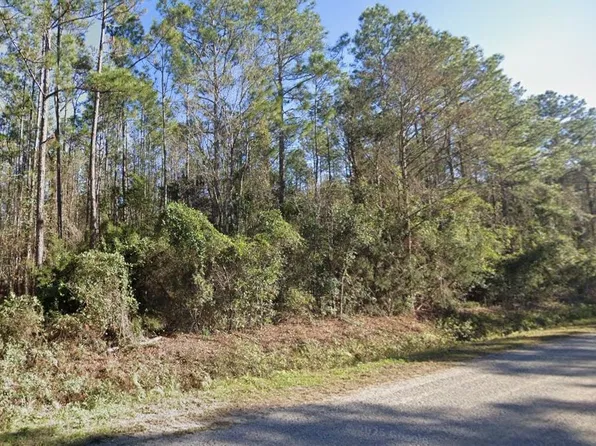 4375 Nancy St, Hastings, FL 32145