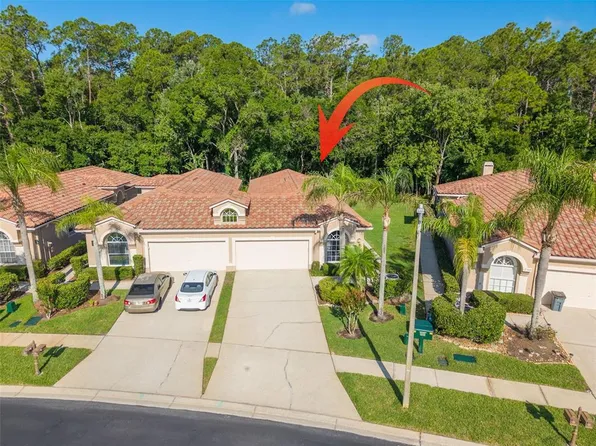 3764 Darston St, Palm Harbor, FL 34685