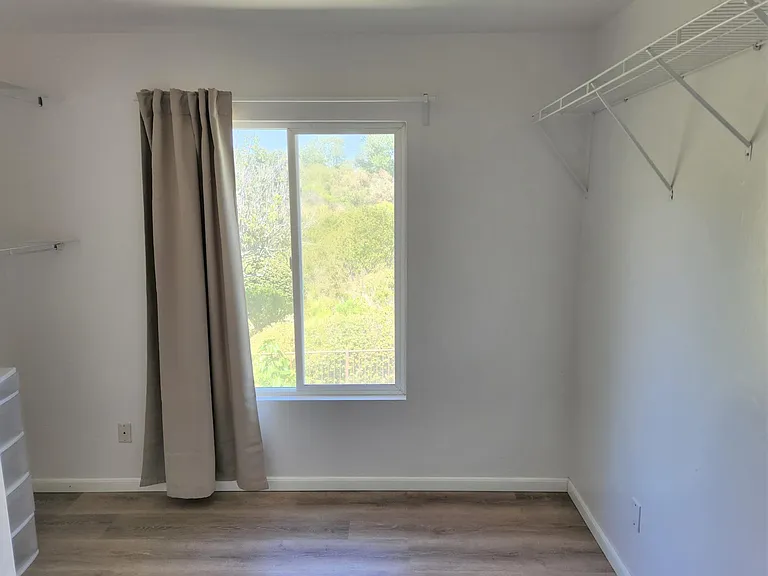 4316 Calle Mar De Ballenas — Photo 30