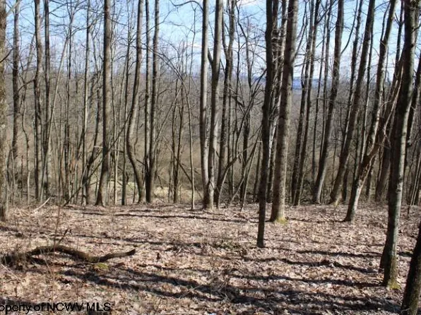 LOT 2 Sand Bank Rd, Masontown, WV 26542