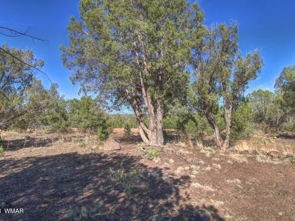 8333 Skyline Dr, Show Low, AZ 85901