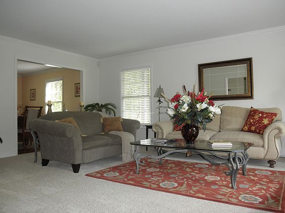 Expansive Living Room