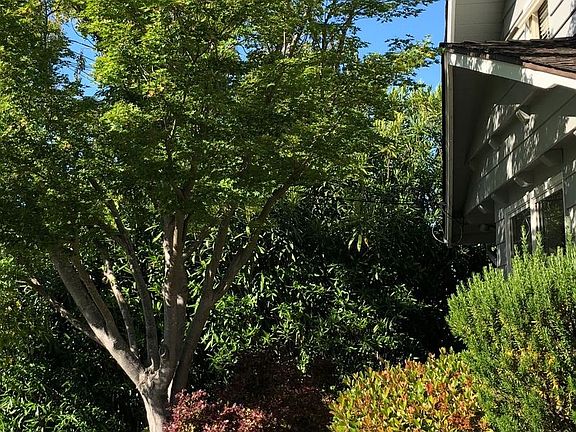 5th image of 2115-A Prospect St