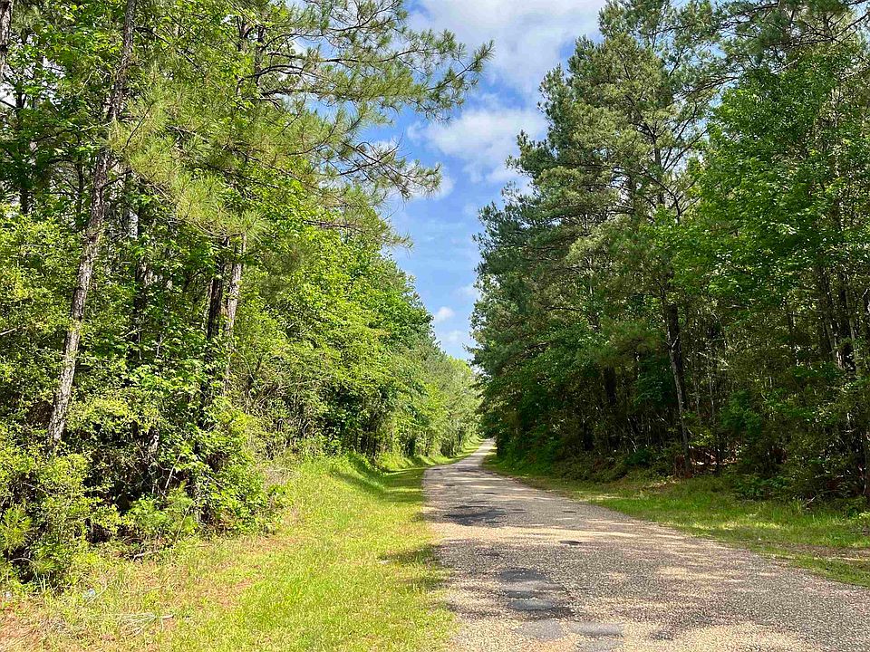 6 Hall And Lindsey Rd LOT 1A, Greensburg, LA 70441 | MLS #2023007881 ...