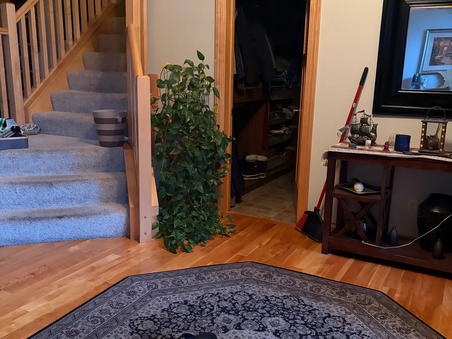 Vera Cruz Dr N, Brooklyn Park — Photo 4