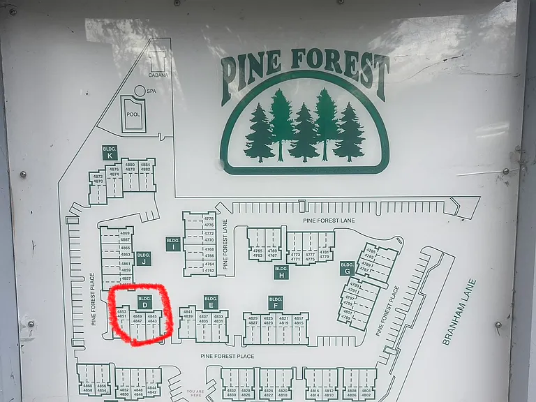 4849 Pine Forest Pl — Photo 14