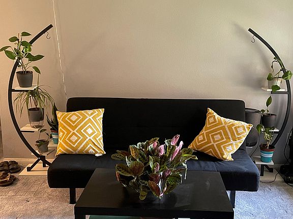 Living room and bedroom are fitted with new, lush carpets that also insulate you from noise and keep you warm in the cold mornings and evenings of winter.