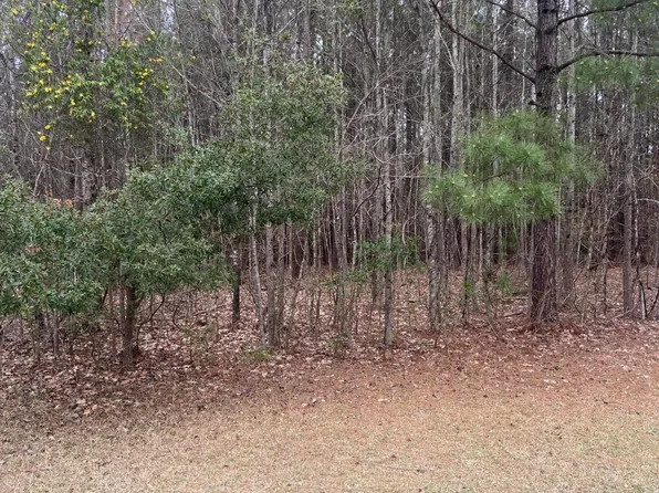 LOT 88 Johnson Dr, Hertford, NC 27944
