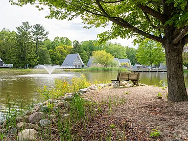 Property photo 35