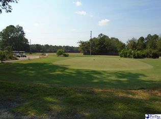 133 E McIver Rd, Darlington, SC 29532