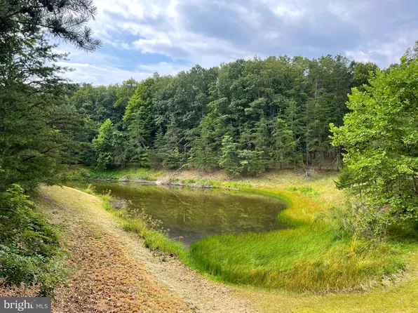 7 & Lot 8, Romney, WV 26757