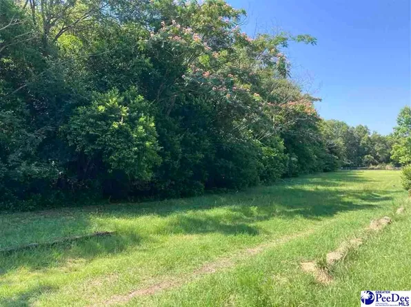 E Hudson St, Dillon, SC 29536